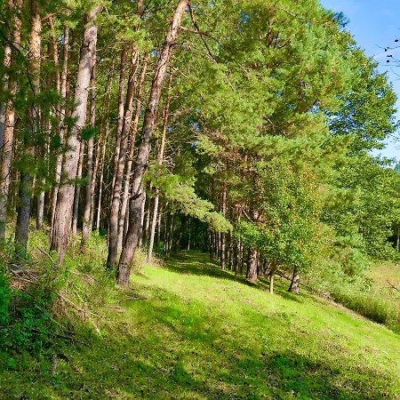 Bakony Deep Forest Vendeghaz
