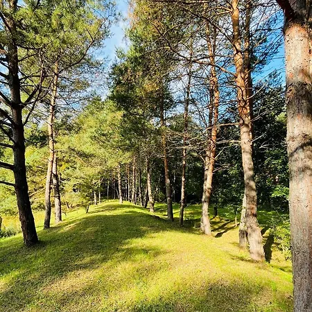 Bakony Deep Forest Vendeghaz 木屋 Bakonyszentlaszlo