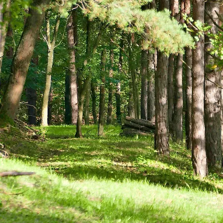 Bakony Deep Forest Vendeghaz Dağ evi Bakonyszentlaszlo