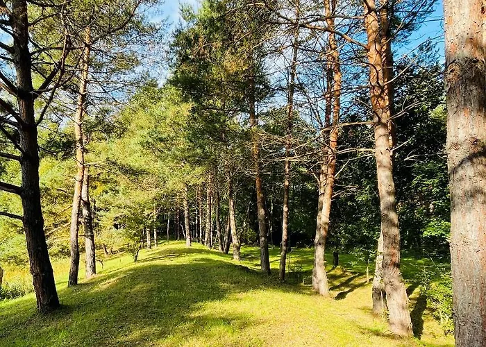 Bakony Deep Forest Chalet Bakonyszentlaszlo