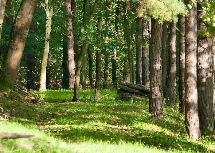 Bakony Deep Forest Chalet Bakonyszentlaszlo